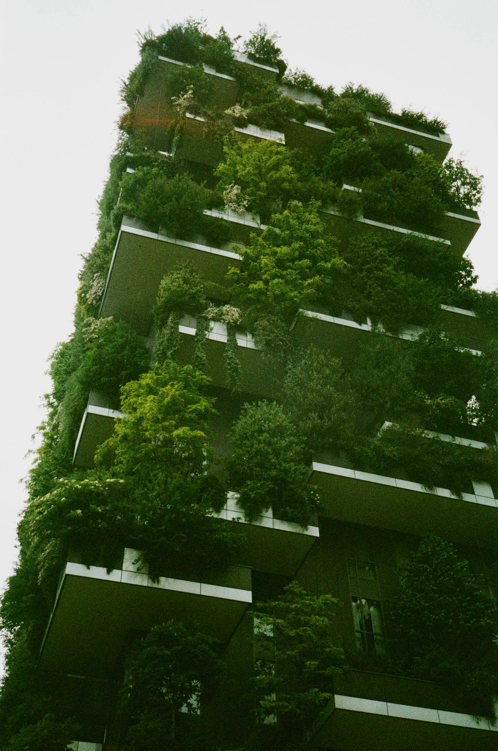 Eco-Friendly Green Building